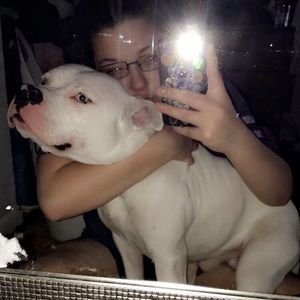 Meet your Posher, Chase